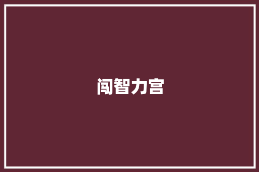 闯智力宫