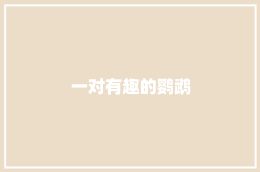 一对有趣的鹦鹉