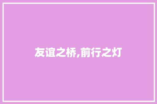 友谊之桥,前行之灯