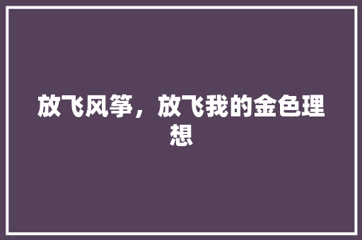 放飞风筝，放飞我的金色理想