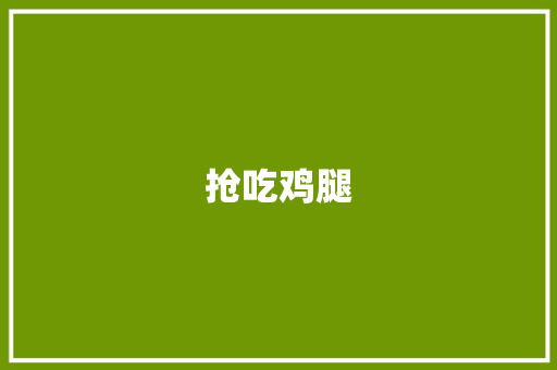 抢吃鸡腿