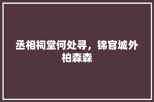 丞相祠堂何处寻，锦官城外柏森森