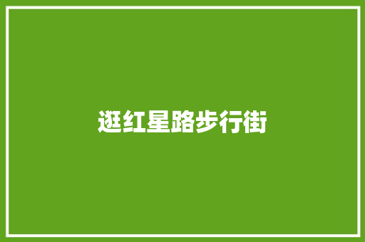 逛红星路步行街