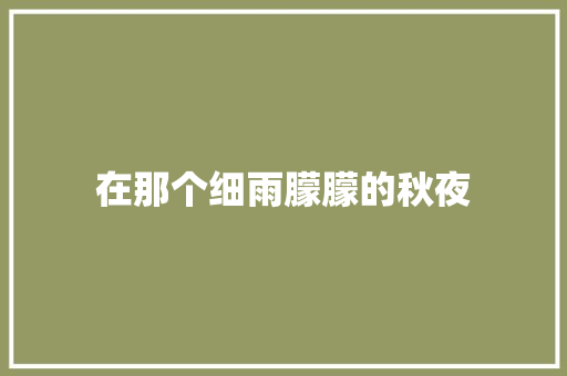 在那个细雨朦朦的秋夜