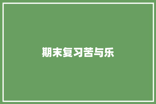 期末复习苦与乐