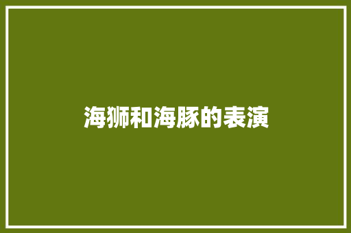 海狮和海豚的表演