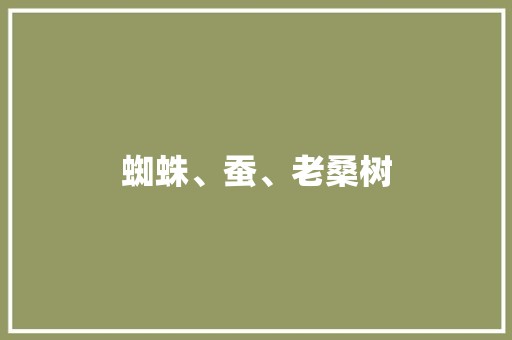 蜘蛛、蚕、老桑树