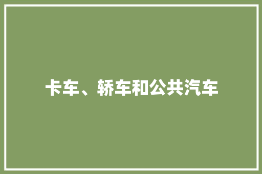 卡车、轿车和公共汽车