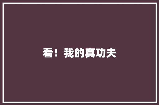 看！我的真功夫 知识百科