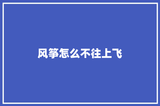 风筝怎么不往上飞