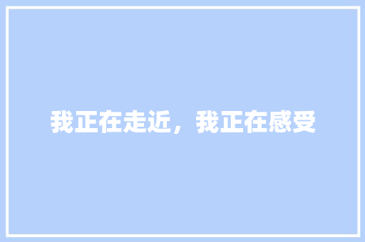 我正在走近，我正在感受 知识百科