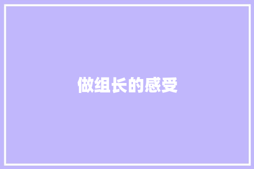 做组长的感受