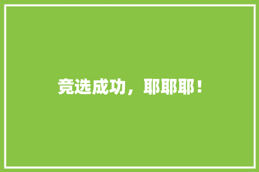 竞选成功，耶耶耶！