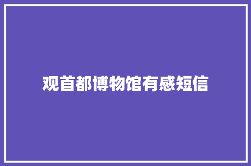 观首都博物馆有感短信