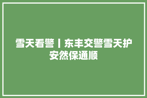 雪天看警丨东丰交警雪天护安然保通顺