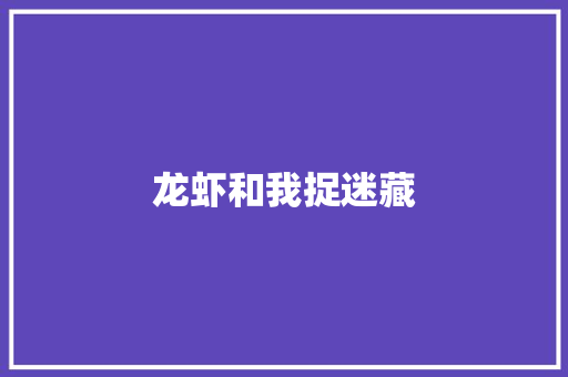 龙虾和我捉迷藏