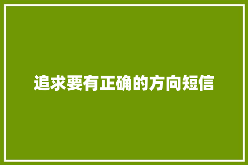 追求要有正确的方向短信
