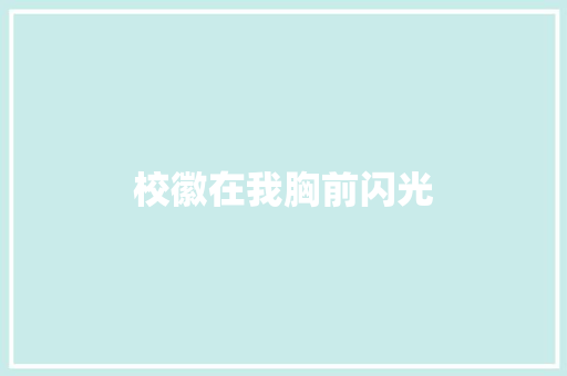 校徽在我胸前闪光