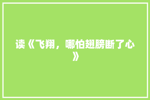 读《飞翔，哪怕翅膀断了心》