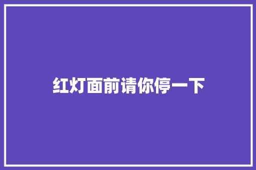红灯面前请你停一下