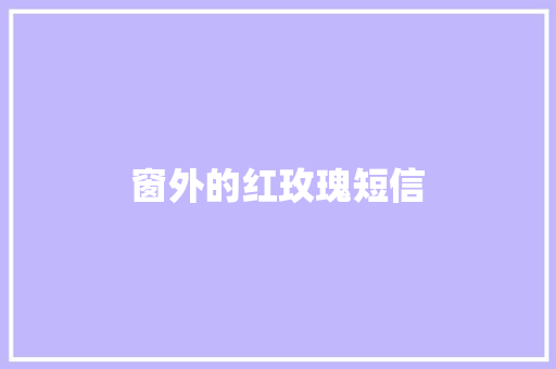 窗外的红玫瑰短信