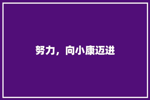 努力，向小康迈进