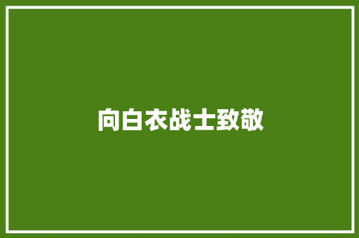向白衣战士致敬