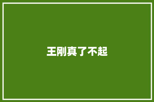 王刚真了不起
