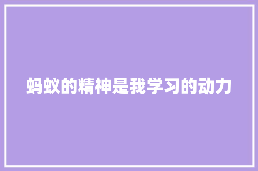 蚂蚁的精神是我学习的动力 知识百科
