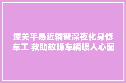 潼关平易近辅警深夜化身修车工 救助故障车辆暖人心图