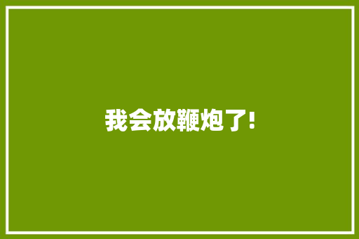 我会放鞭炮了!