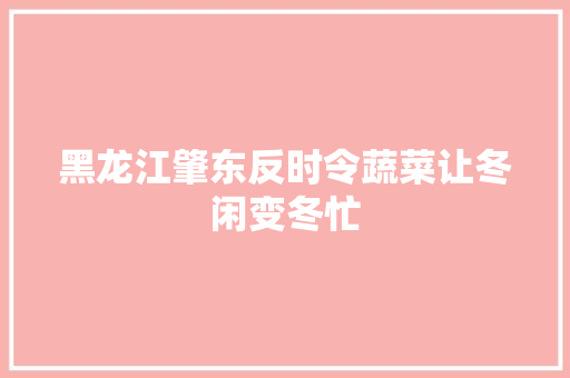 黑龙江肇东反时令蔬菜让冬闲变冬忙