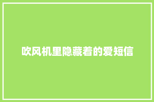 吹风机里隐藏着的爱短信