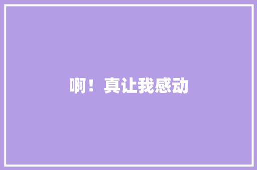 啊！真让我感动