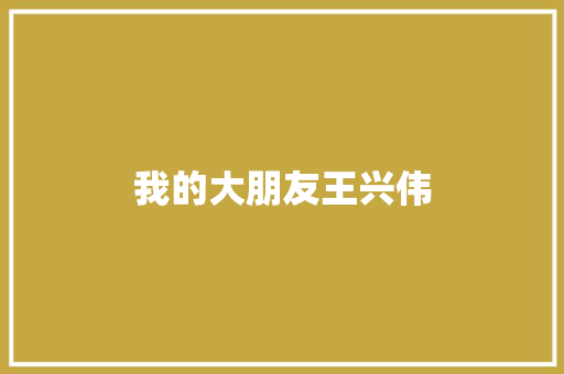 我的大朋友王兴伟 知识百科