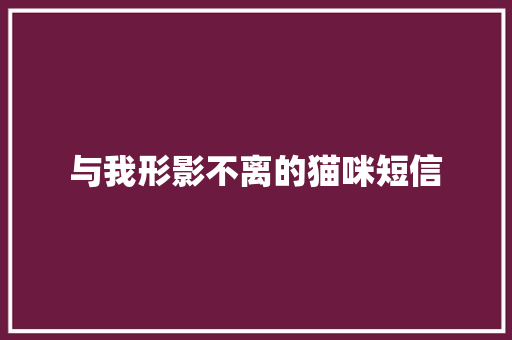 与我形影不离的猫咪短信 知识百科
