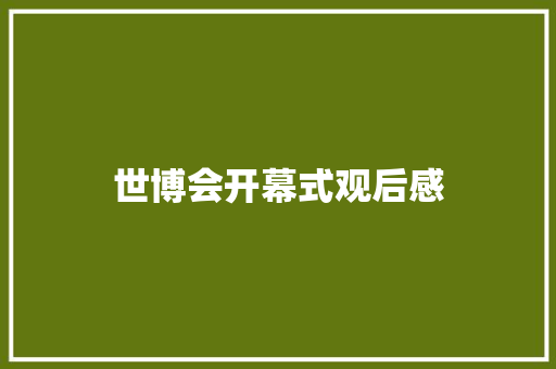 世博会开幕式观后感