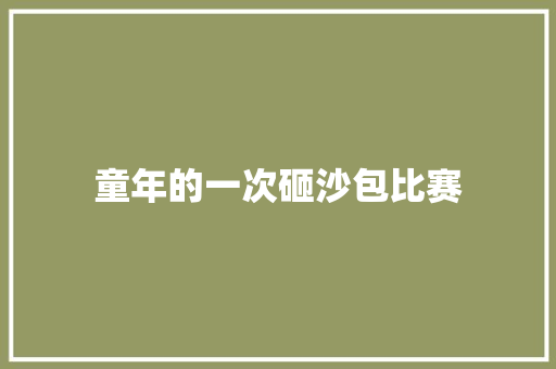 童年的一次砸沙包比赛