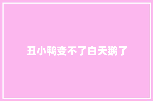 丑小鸭变不了白天鹅了