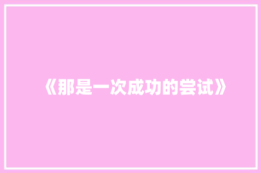 《那是一次成功的尝试》
