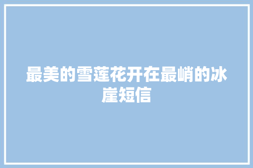最美的雪莲花开在最峭的冰崖短信