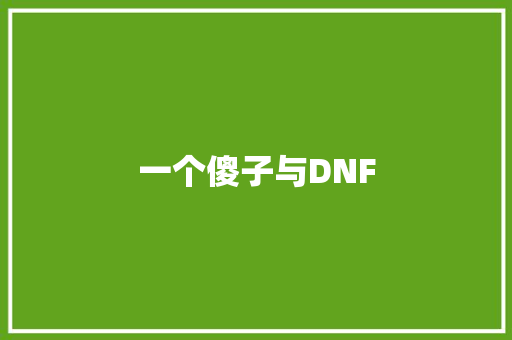 一个傻子与DNF