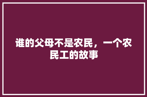 谁的父母不是农民，一个农民工的故事 知识百科