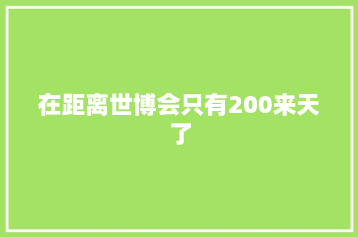 在距离世博会只有200来天了
