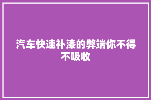 汽车快速补漆的弊端你不得不吸收