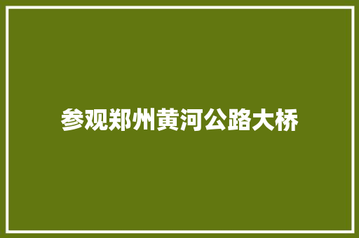 参观郑州黄河公路大桥 知识百科