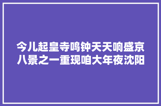 今儿起皇寺鸣钟天天响盛京八景之一重现咱大年夜沈阳 汽车知识