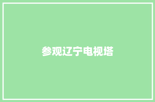 参观辽宁电视塔