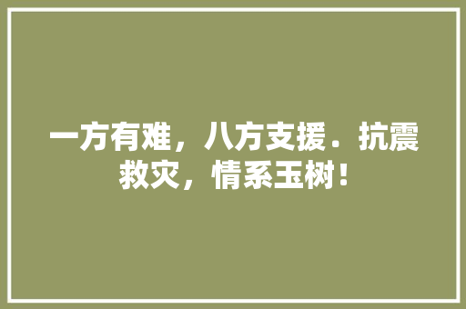 一方有难，八方支援．抗震救灾，情系玉树！