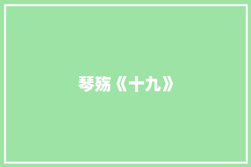 琴殇《十九》 知识百科